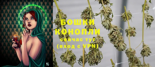 МДПВ Рославль