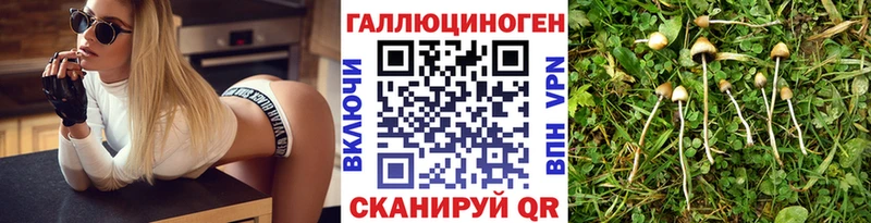 гидра как зайти  как найти наркотики  Красноуфимск  Галлюциногенные грибы MAGIC MUSHROOMS 